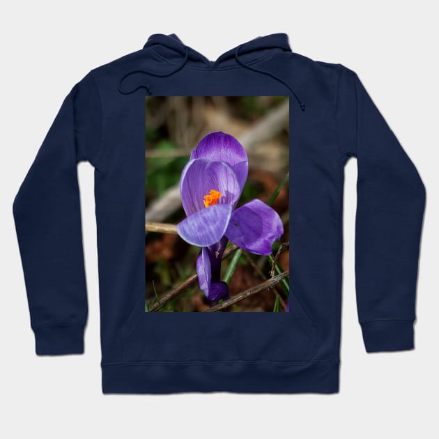 Wild crocus Hoodie by Violaman